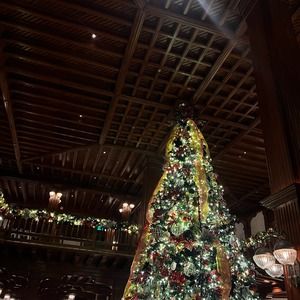 Meet your Posher, Isabella